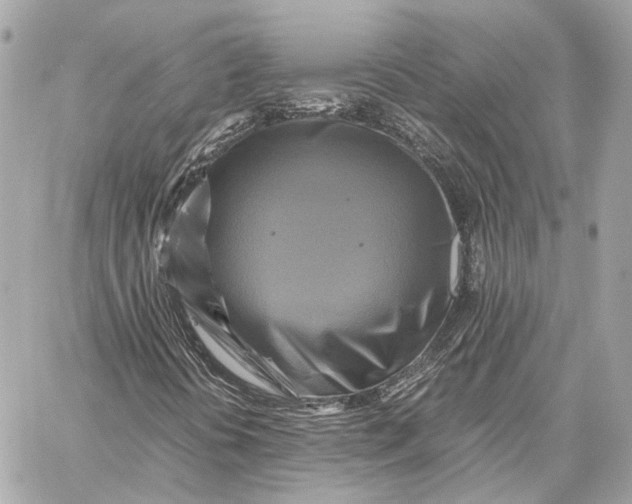 X0000059231394200511041229