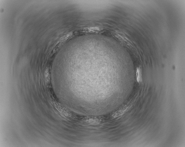 X0000059231395200511041229