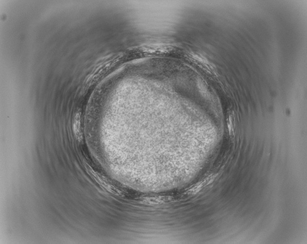 X0000059231396200511041229