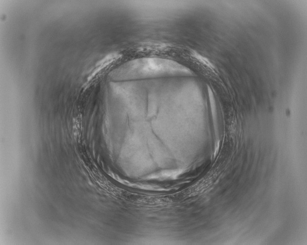 X0000059231397200511041230