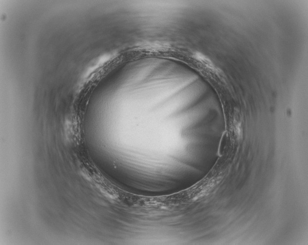 X0000059231398200511041230