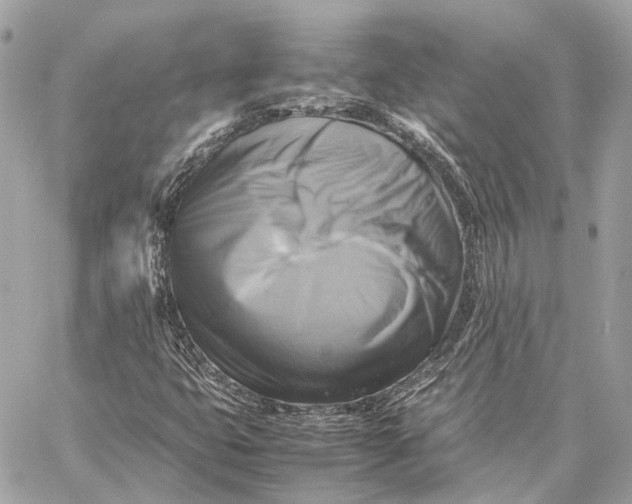 X0000059231399200511041230