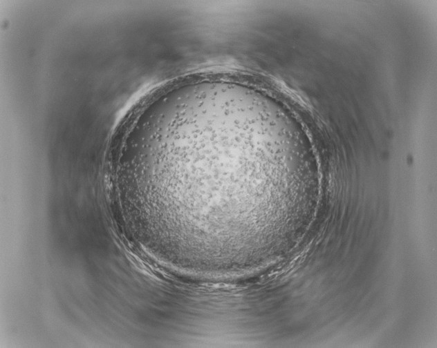 X0000059231400200511041230