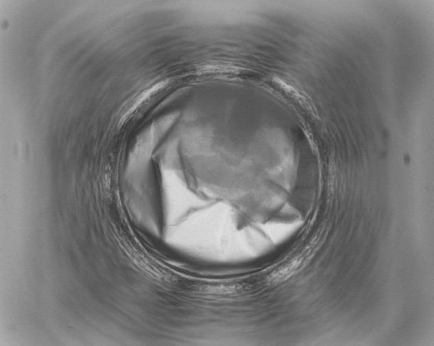 X0000059231401200511041230