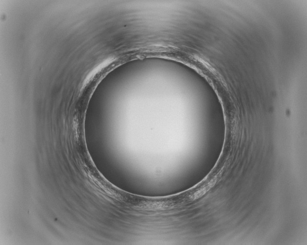 X0000059231402200511041230