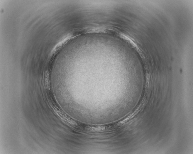 X0000059231403200511041230