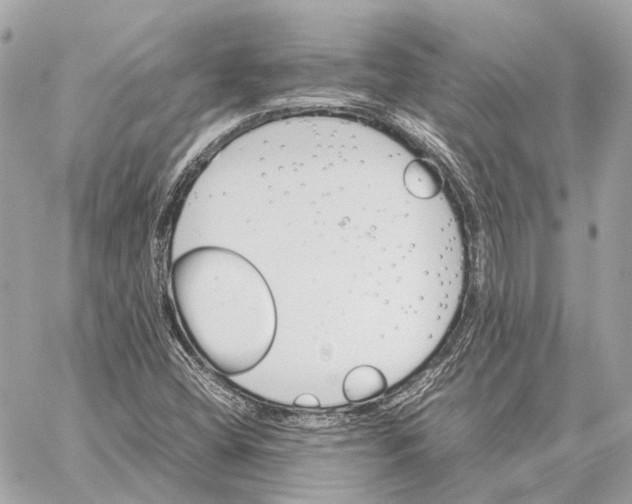 X0000059231404200511041230