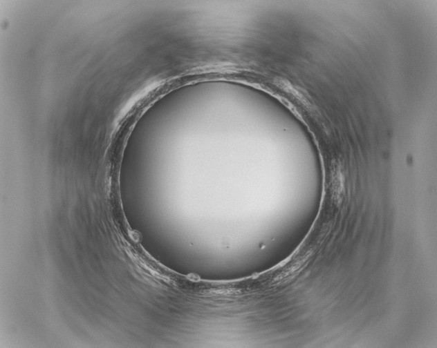 X0000059231406200511041230