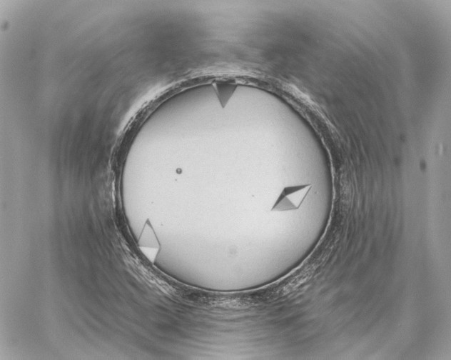 X0000059231408200511041230