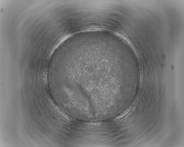 X0000059231409200511041230