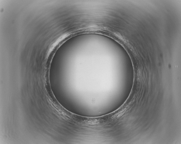 X0000059231410200511041230