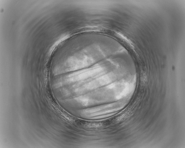 X0000059231411200511041230