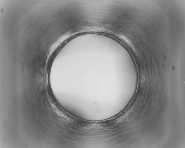 X0000059231414200511041230