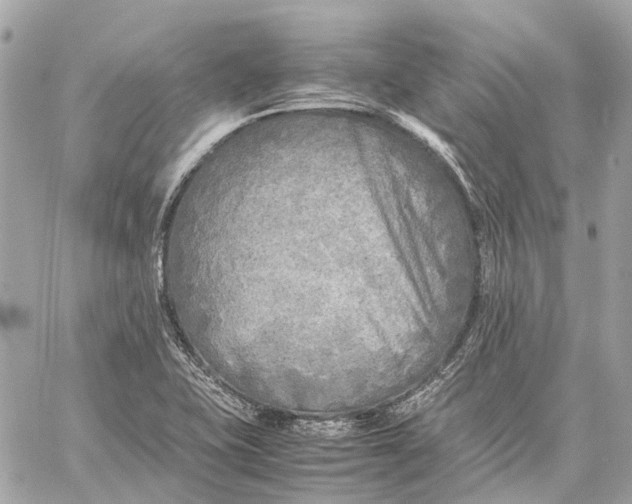 X0000059231415200511041230