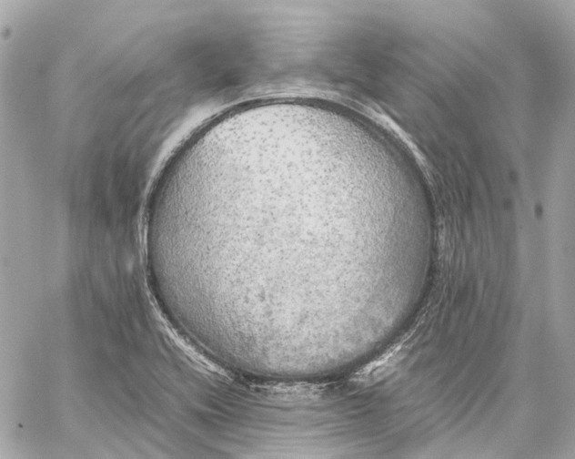 X0000059231416200511041230