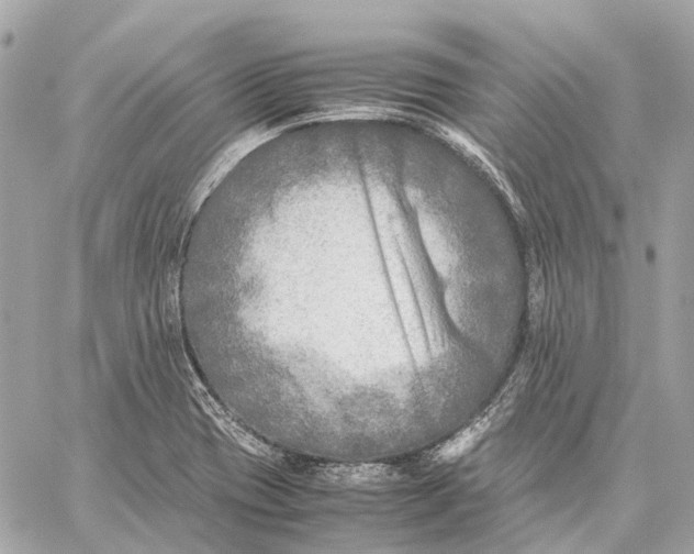 X0000059231417200511041230