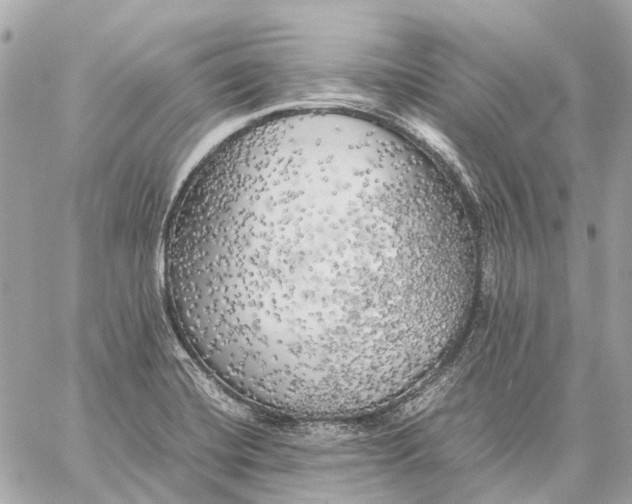 X0000059231420200511041230