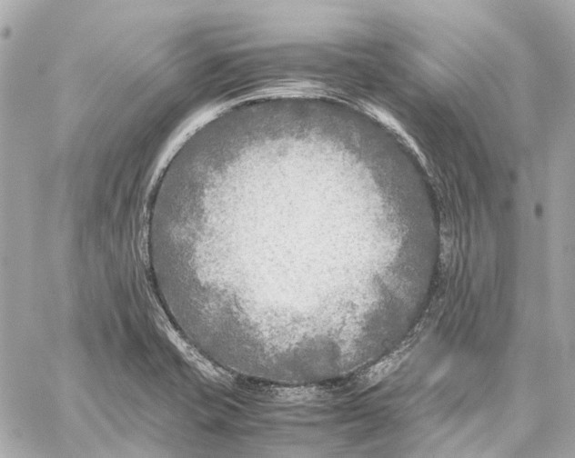 X0000059231421200511041230