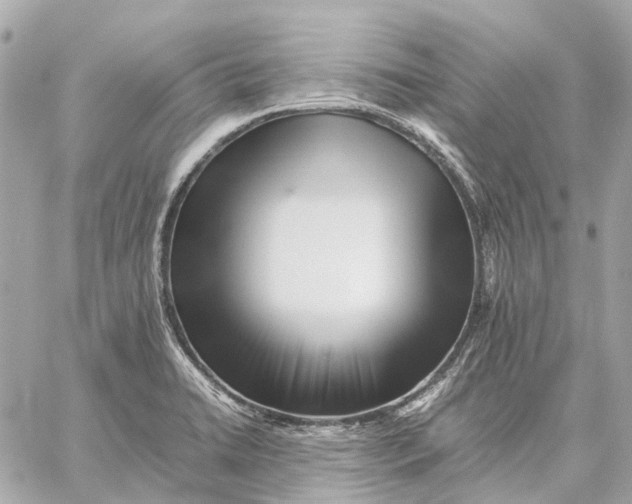 X0000059231422200511041230