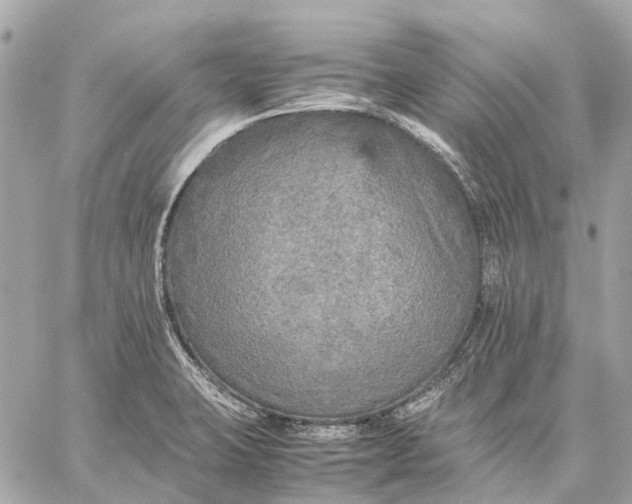 X0000059231423200511041230