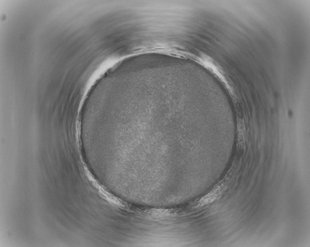 X0000059231424200511041230