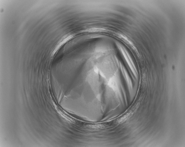 X0000059231425200511041230