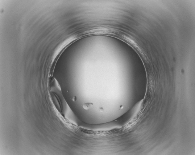 X0000059231426200511041230