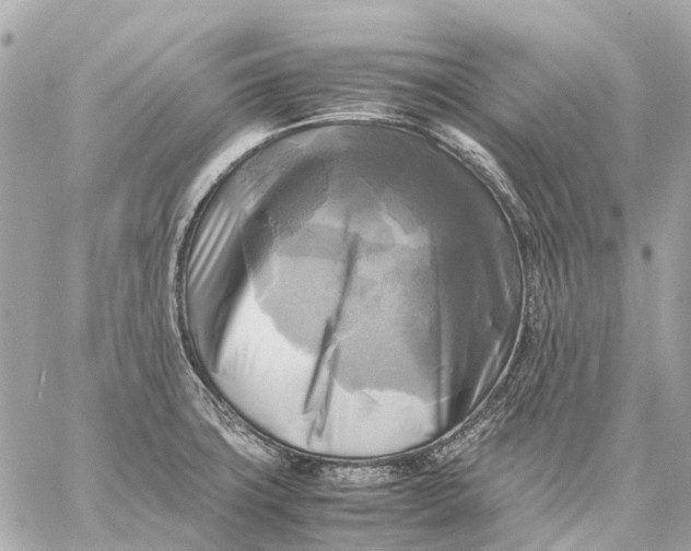 X0000059231427200511041230