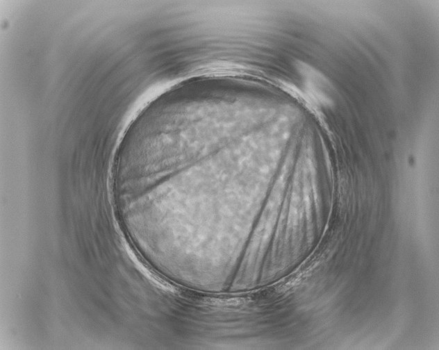 X0000059231429200511041230