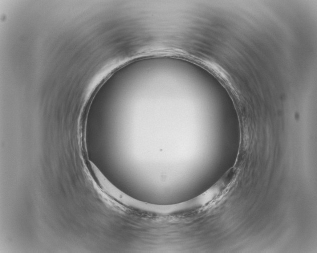 X0000059231430200511041230