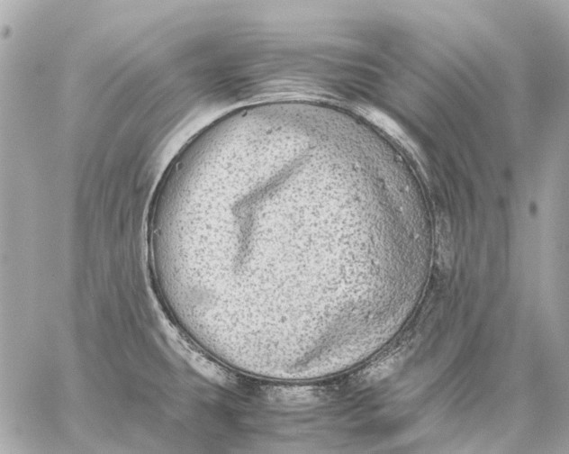 X0000059231431200511041230