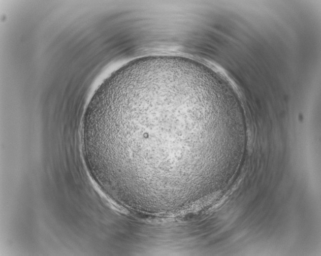 X0000059231432200511041230