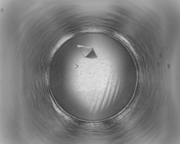 X0000059231433200511041230