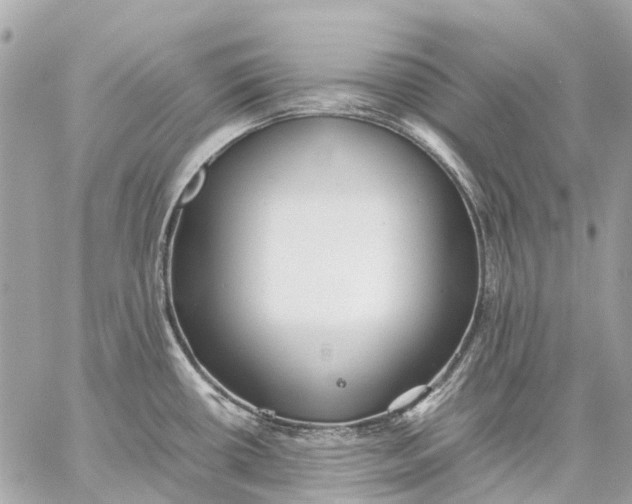 X0000059231434200511041230