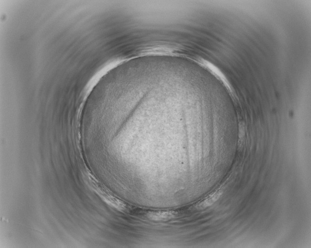 X0000059231435200511041230