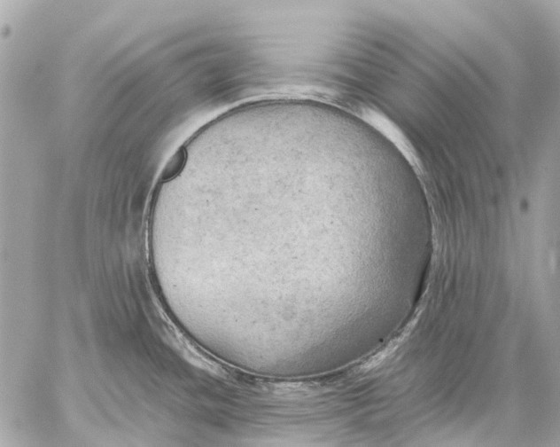 X0000059231436200511041230