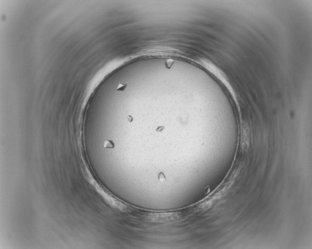 X0000059231437200511041230