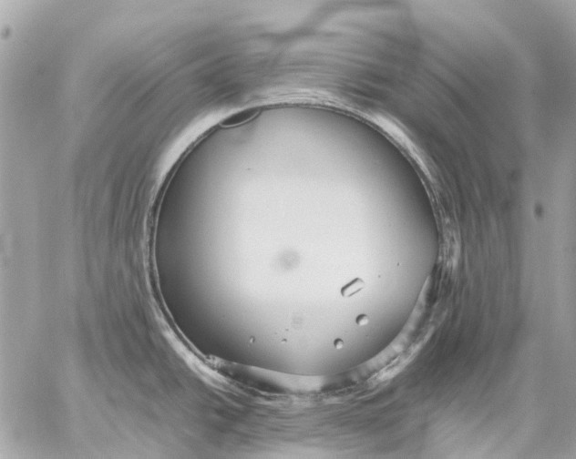 X0000059231438200511041230