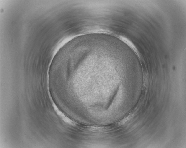 X0000059231439200511041230