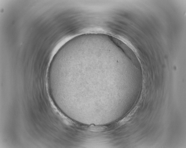 X0000059231440200511041230