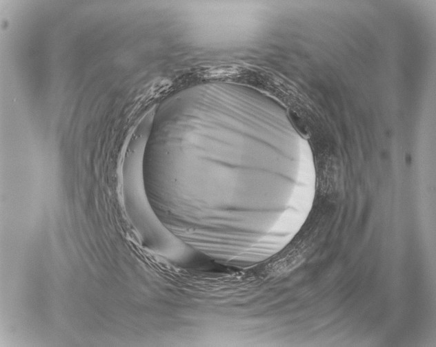 X0000059231441200511041229