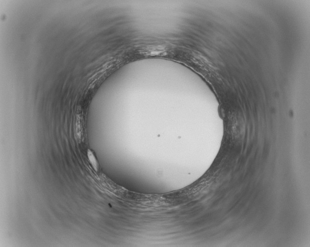 X0000059231442200511041229