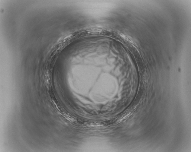 X0000059231445200511041229