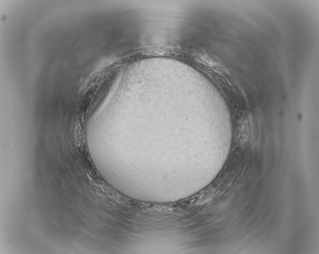 X0000059231446200511041229