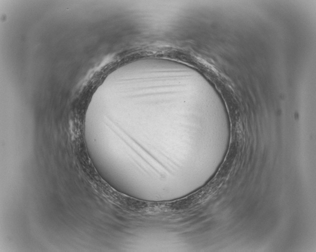 X0000059231447200511041229