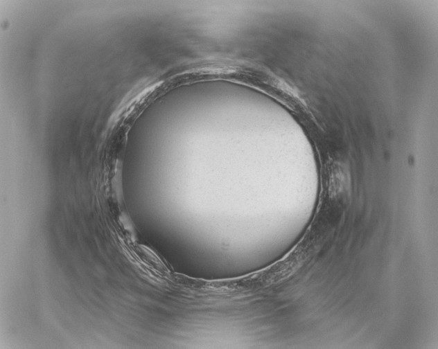 X0000059231448200511041229