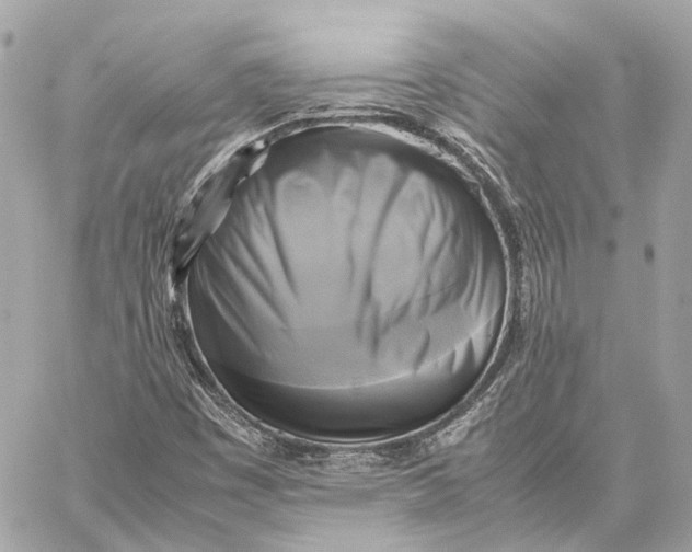 X0000059231449200511041229