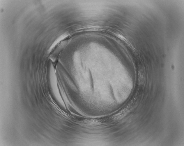 X0000059231450200511041229