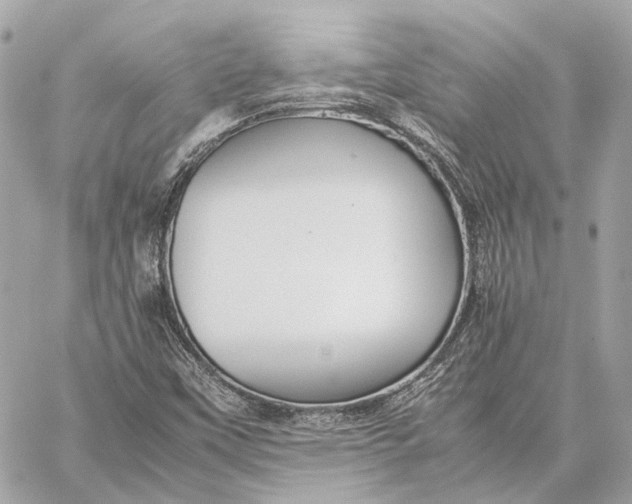 X0000059231451200511041229