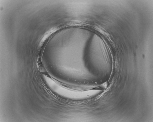 X0000059231453200511041229